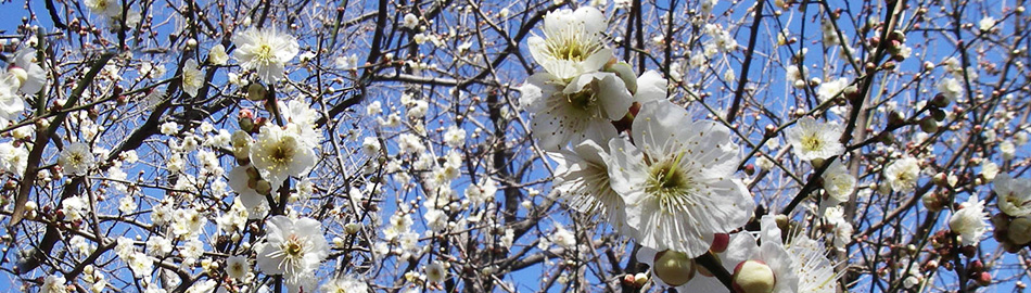 �r���[�e�B�T�C�G���X�̒�